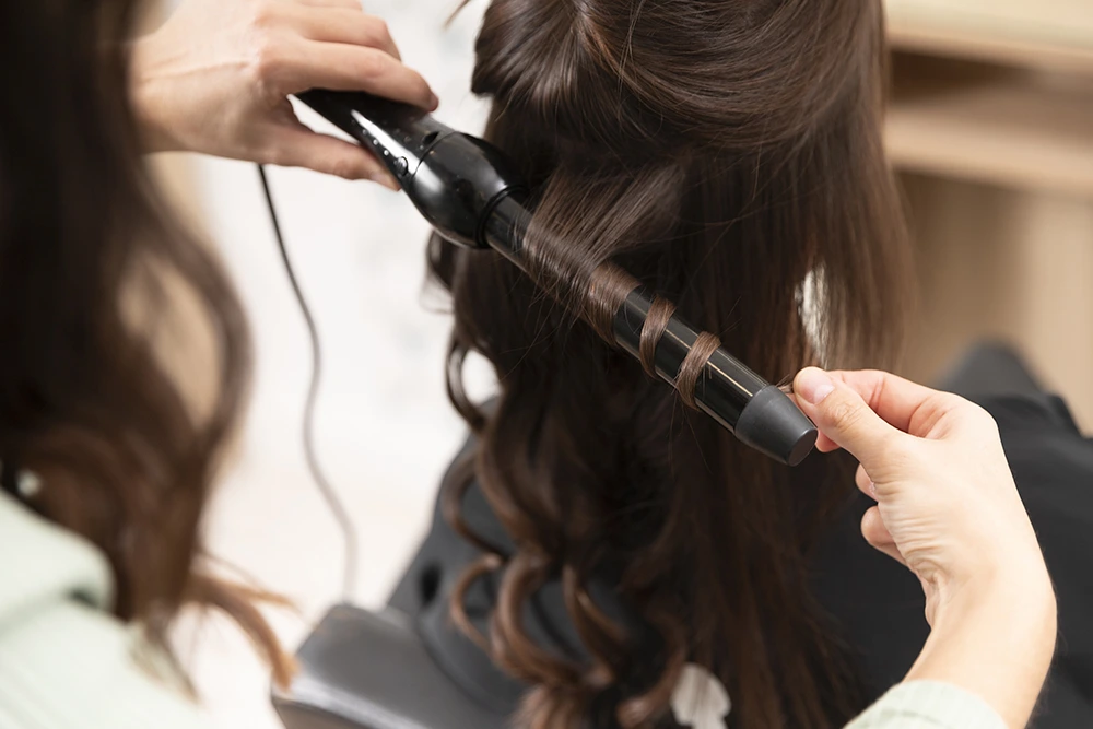 Hair Styler